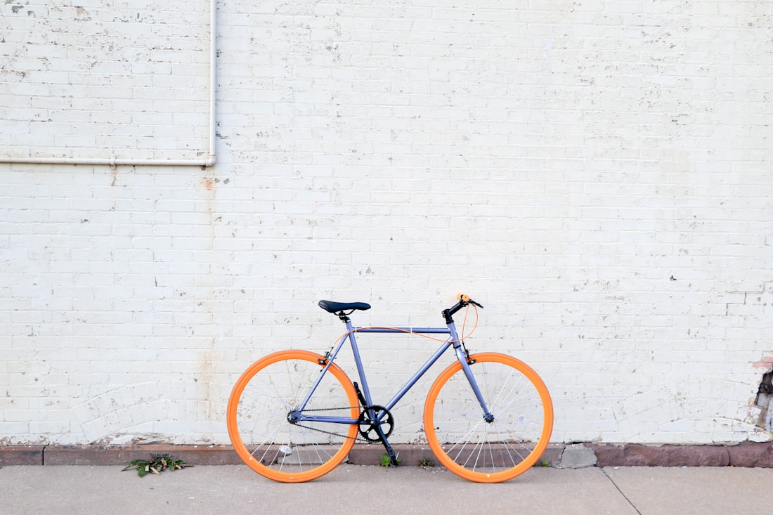 Bicycles lined up outside in warm daylight